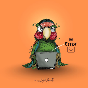 404 error